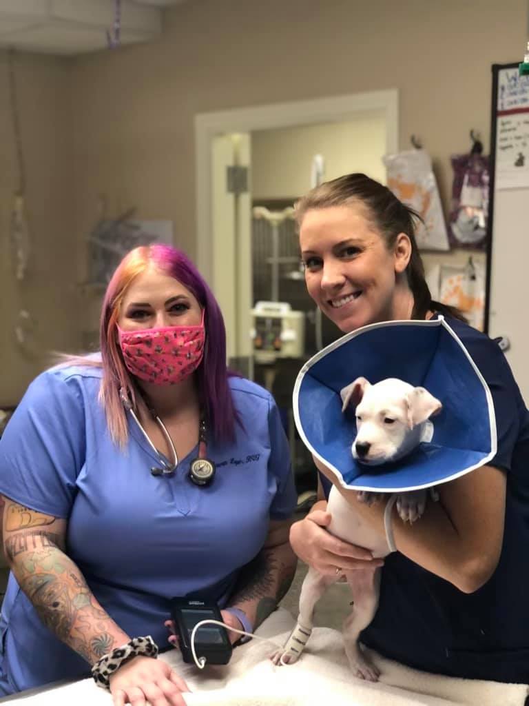 Animal Emergency Clinic Shreveport_tech and dog 2